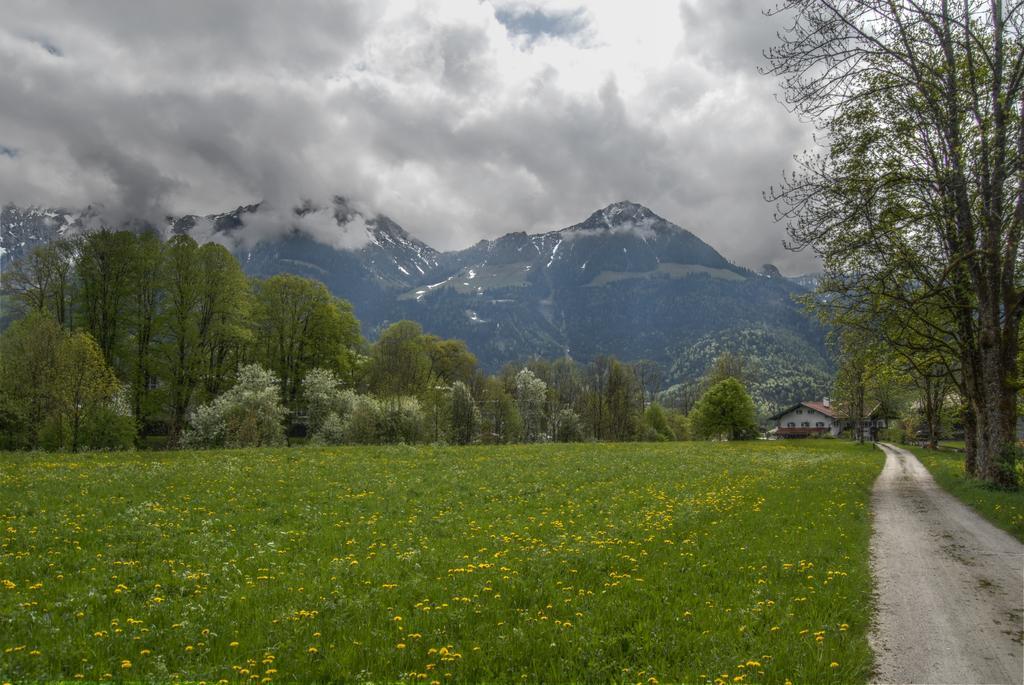 דירות Schönau am Königssee Alpenhof Punzenlehen מראה חיצוני תמונה